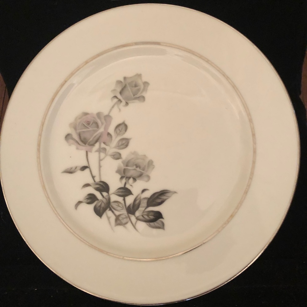 Vintage Nocturne yamaka 10” dinner plate!